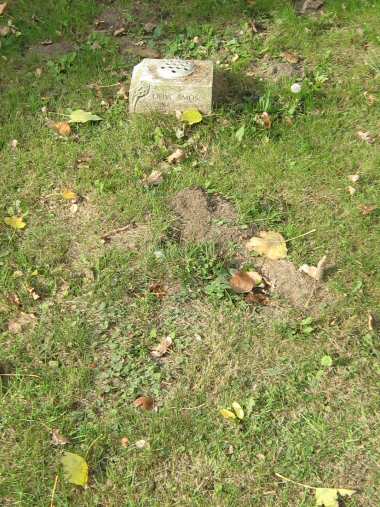 Amos grave