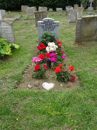 Davison grave