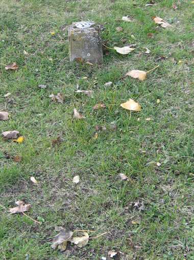 Boakes grave